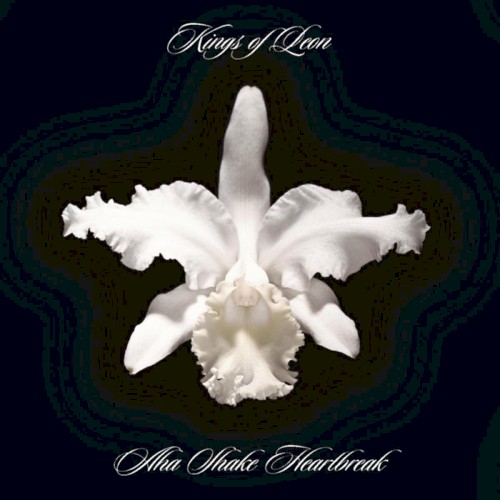Kings of Leon — Aha Shake Heartbreak CD cover
